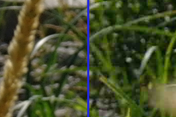 Сжатие изображения алгоритмом JPEG